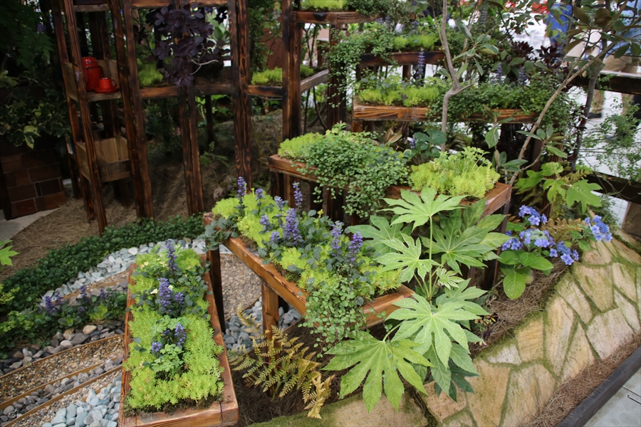 国際バラとガーデニングショー66