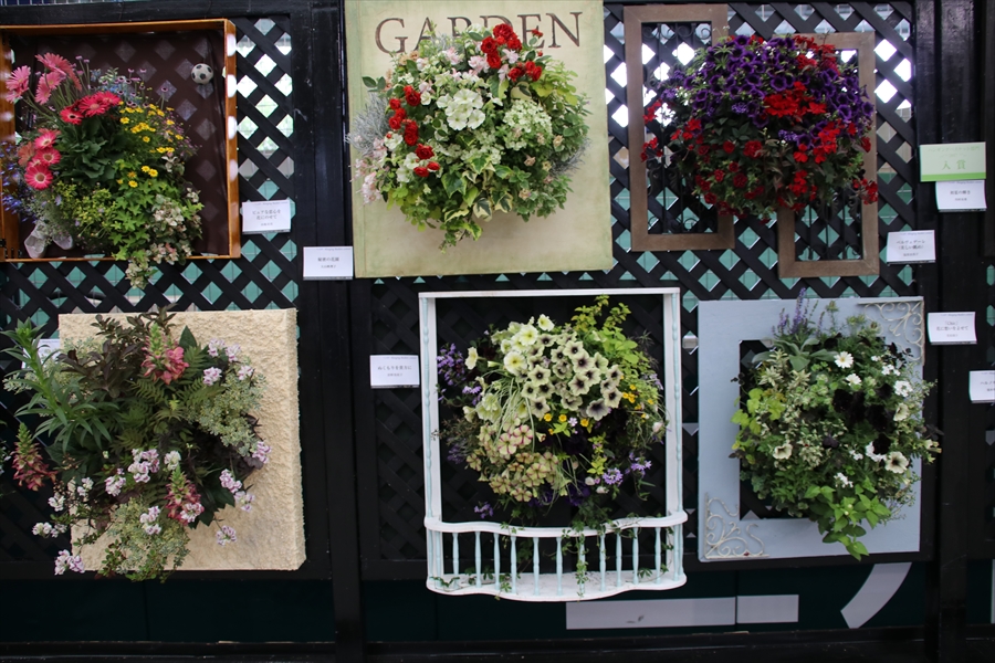 国際バラとガーデニングショー71